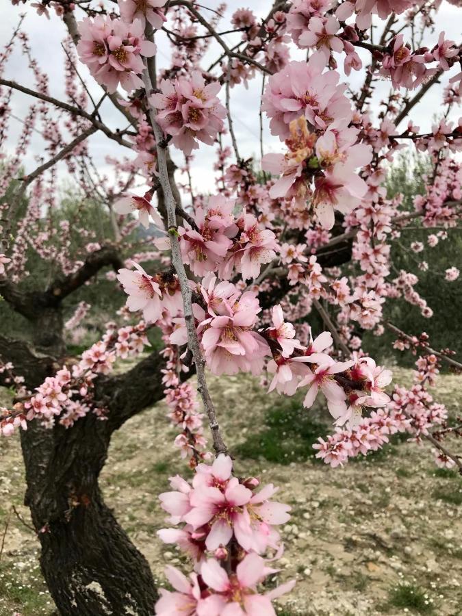 Margarida Al-Qandil 게스트하우스 외부 사진